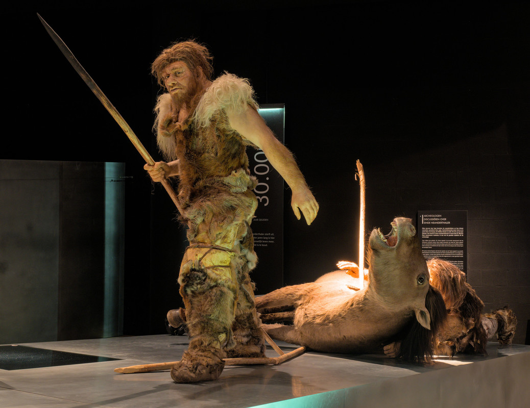 Reconstructie van een neanderthaler in het Gallo-Romeins Museum in Tongeren.